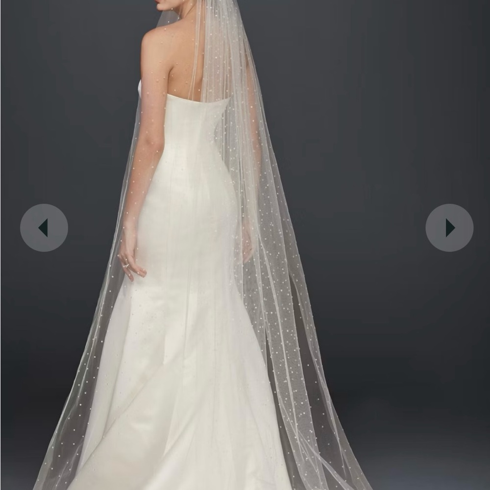 Elegant Cathedral Bridal Veil with Scattered Crystals (Ivory)